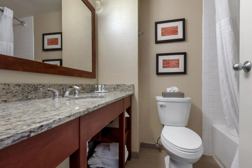 Comfort Inn The Pointe - Général