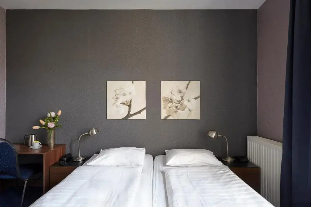 Deluxe Double room (twin beds)
