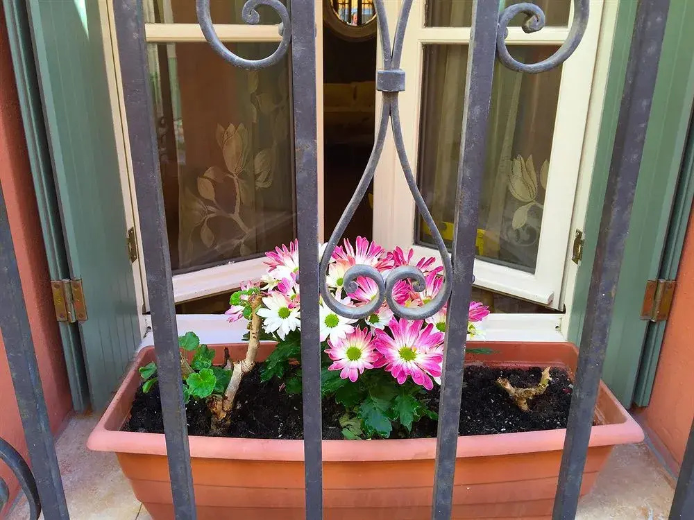 Balcony & Terrace