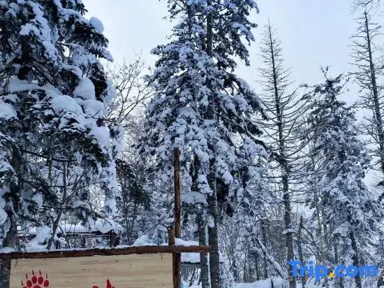 Shanyu Xue Ski Snow Haven Chinese Inn (Yabuli Water Park)
