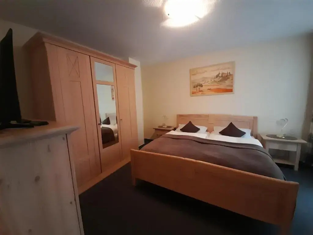Standard Double room with mountain view (full double bed)