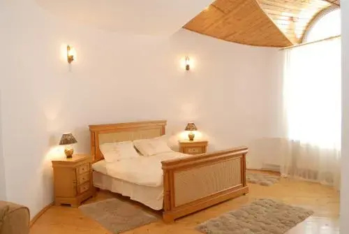 Vila Carpathia - фото 6