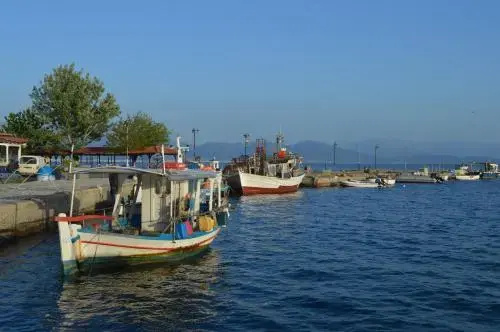 Beach & Waterfront