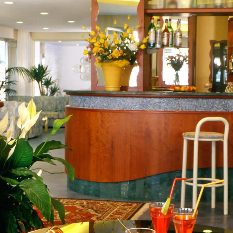 Hotel Foschi-Peninsula - Général