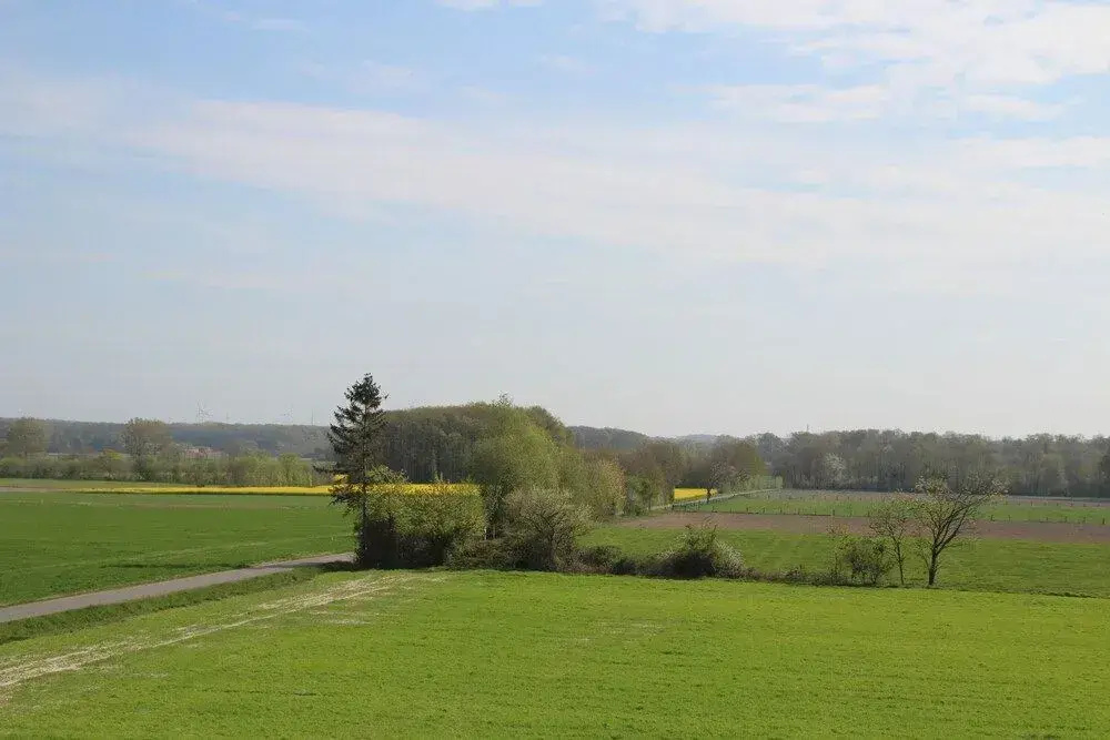 Landhotel Hermannshöhe - Général