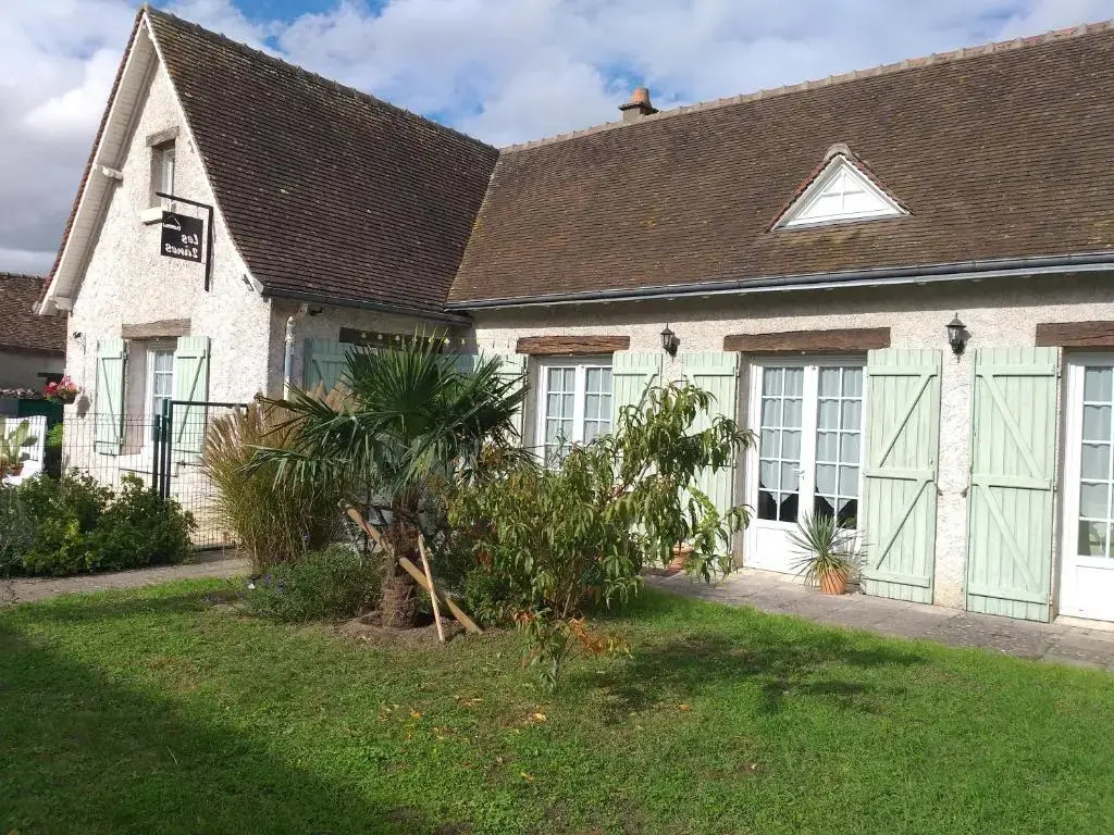Voir la photo 4 — Les deux anes