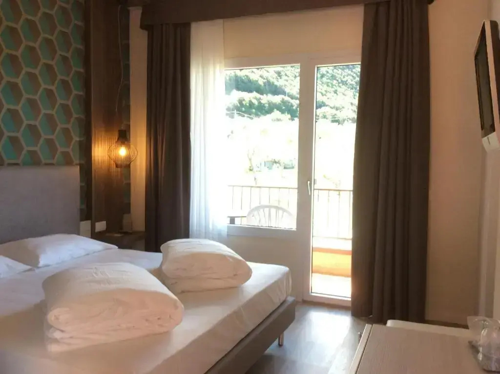 Standard Double room with mountain view (full double bed)