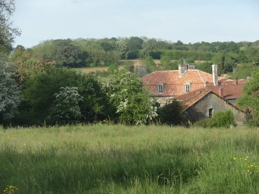 Image 13
