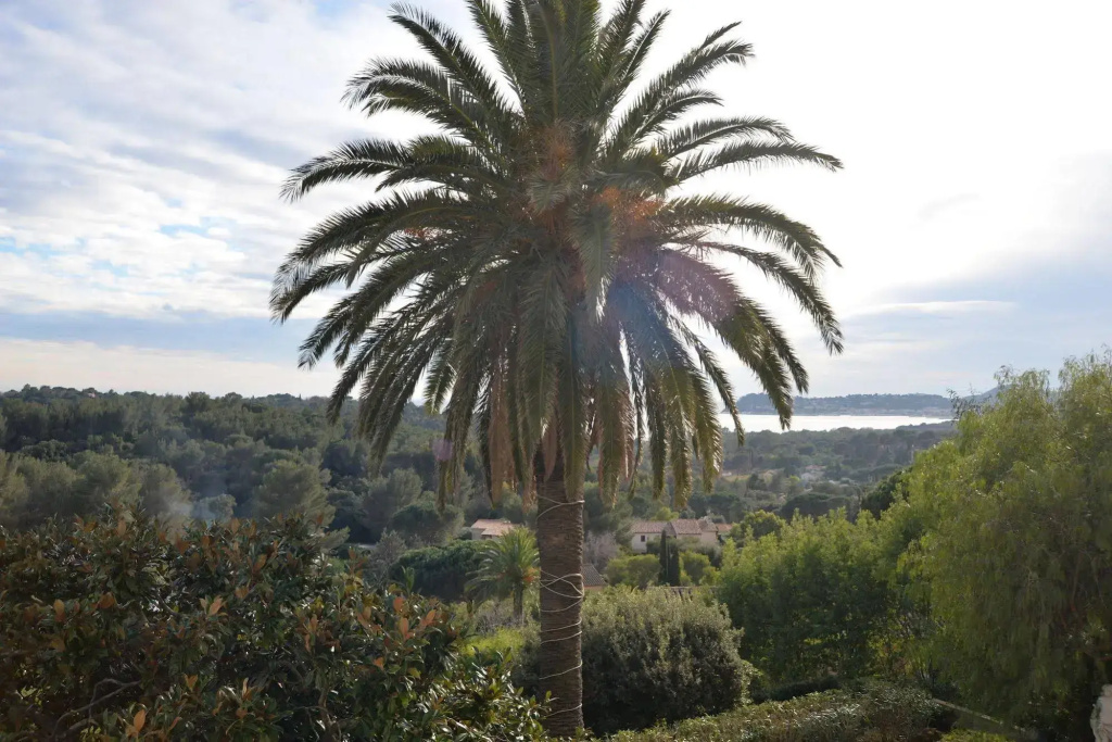 Château de Meï-Lésé - Général