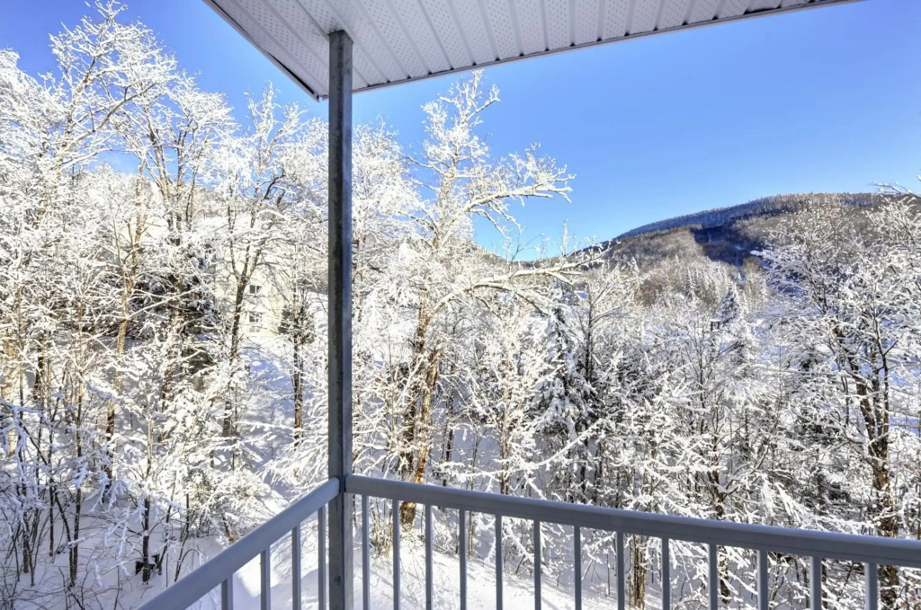 Condo 305 33 Chemin du Hameau by Les Chalets Alpins