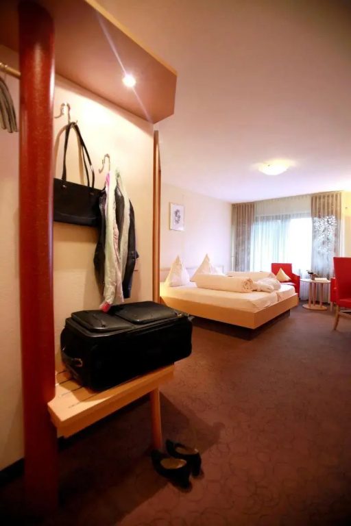 Hotel Am Hirschhorn - Général