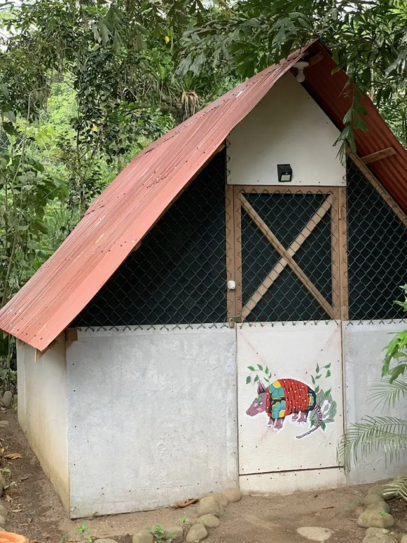 Costa Rica Glamping - фото 4