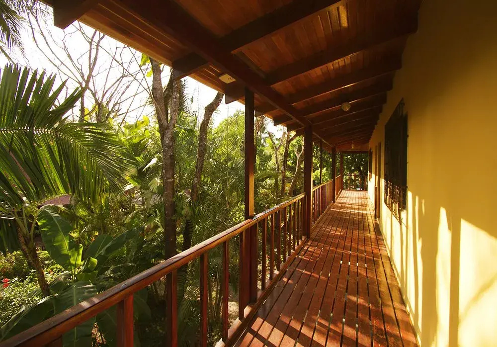 The Sunset Shack - Général
