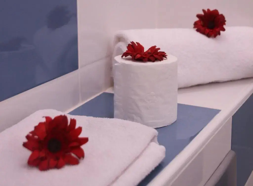 Comfort Double room (full double bed)