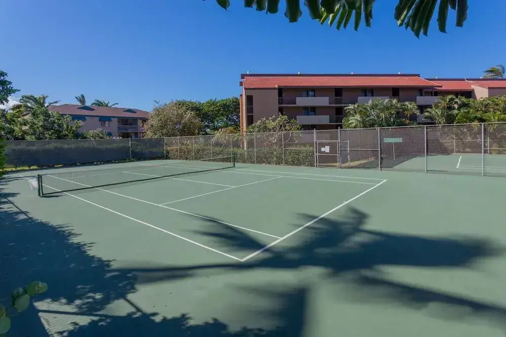 South Maui Luxury Rentals