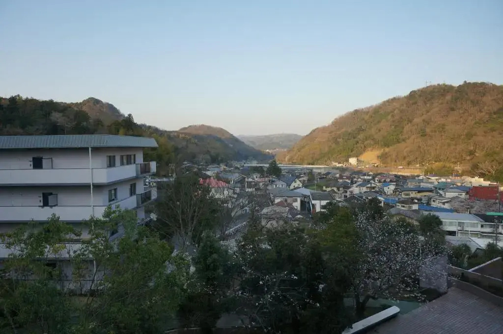 Shuzenji Onsen Hotel Takitei - Chambres