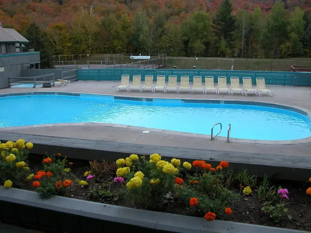 Village of Loon Mountain - VI - Chambres