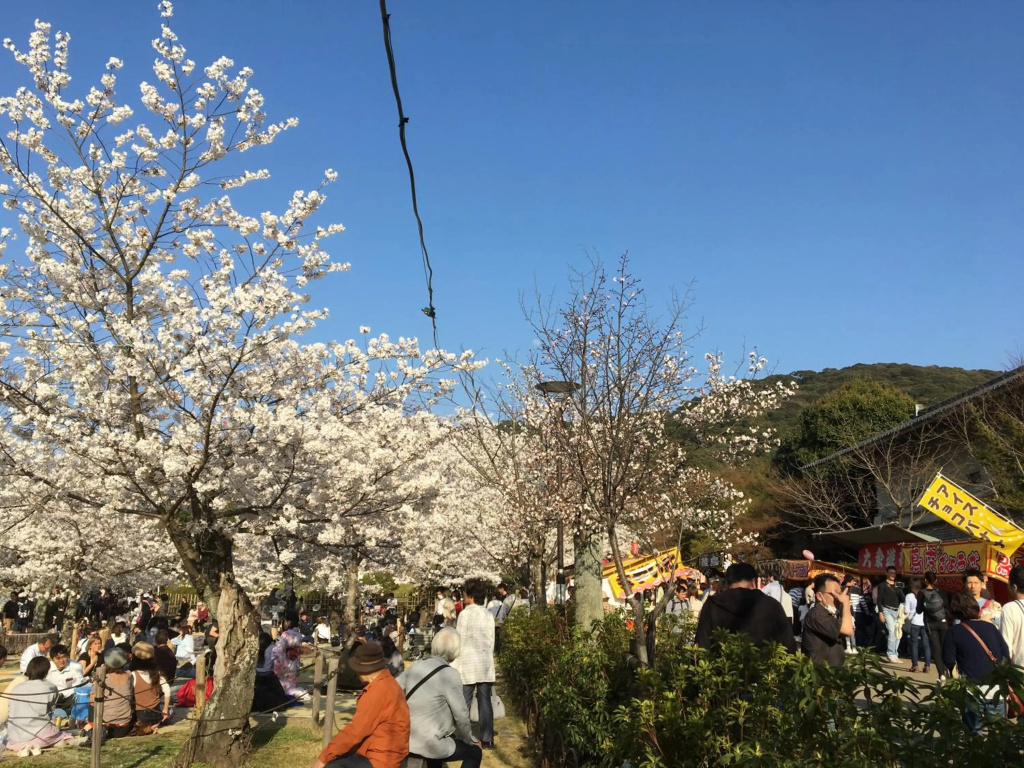 美築八坂 사진 13