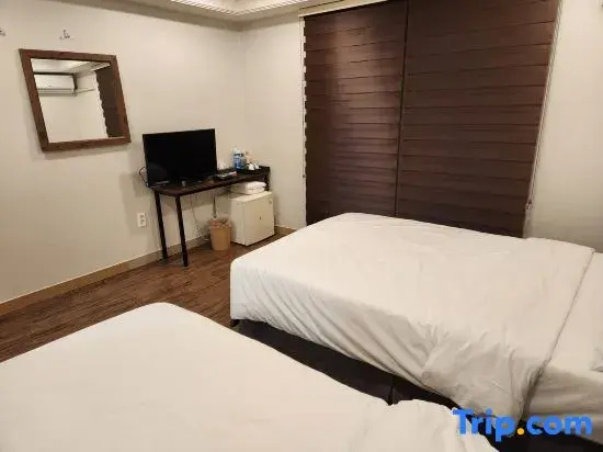 Standard Double room (twin beds)