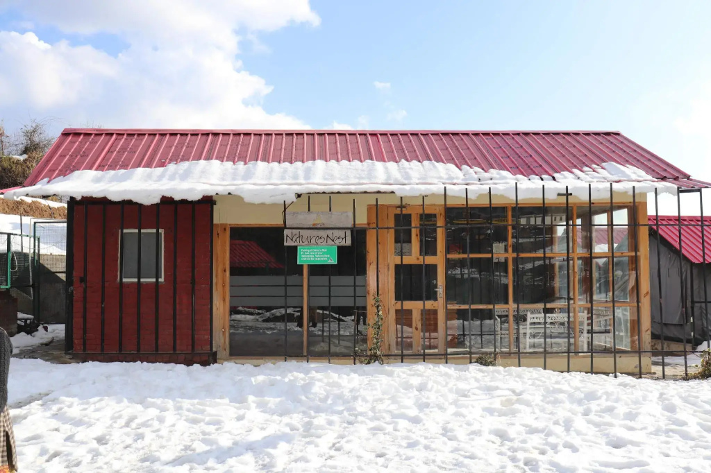 Nature Nest Eco Resort