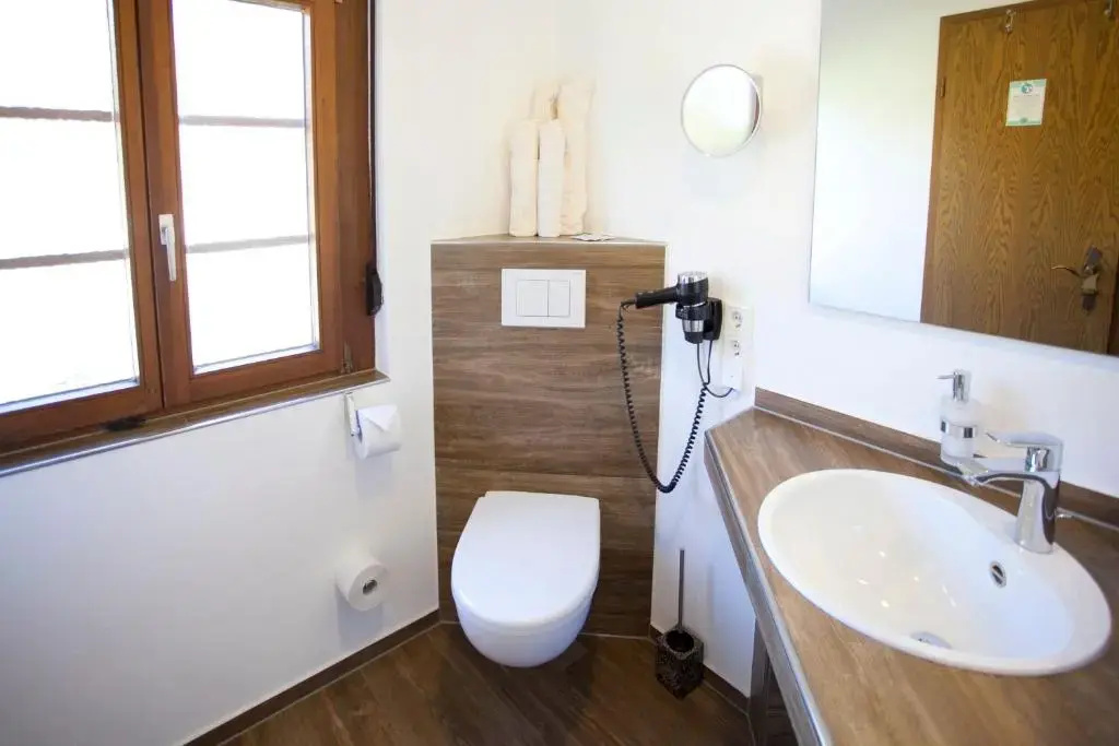 Comfort Double room (full double bed)