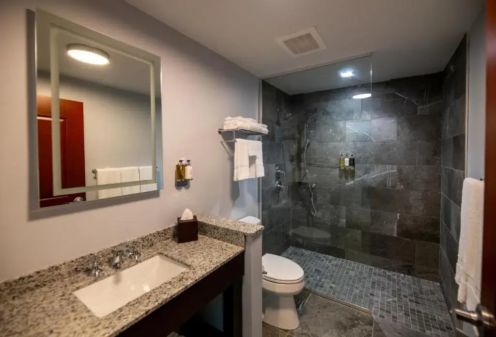 Standard Double room with balcony (full double bed)