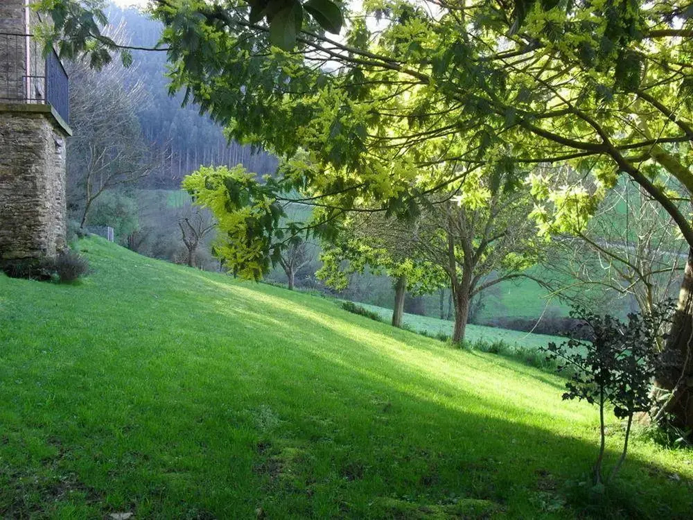 O Cabazo Da Curuxa
