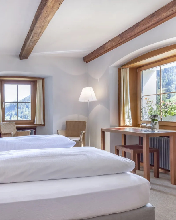 Standard Double room with mountain view (full double bed)