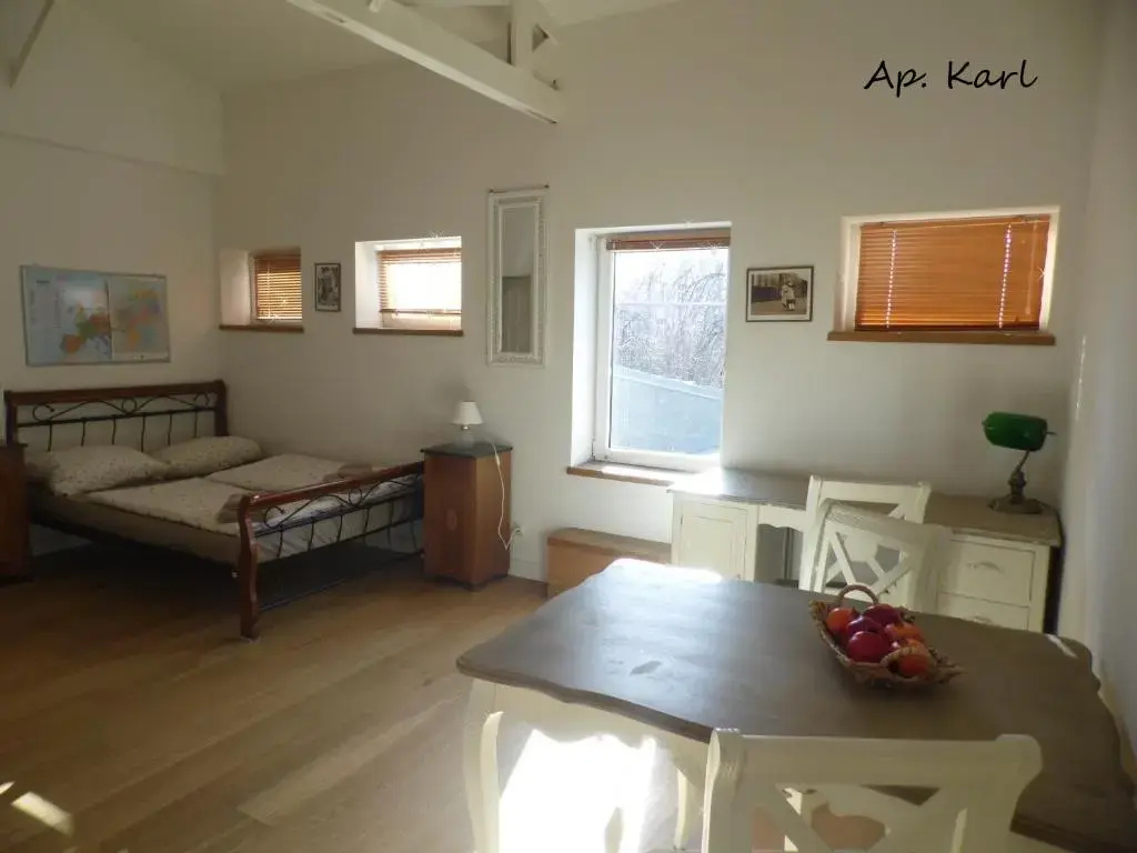 Duplex Apartment