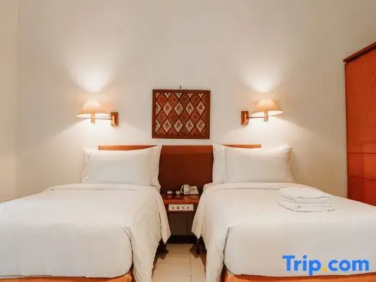 Deluxe Double room (twin beds)