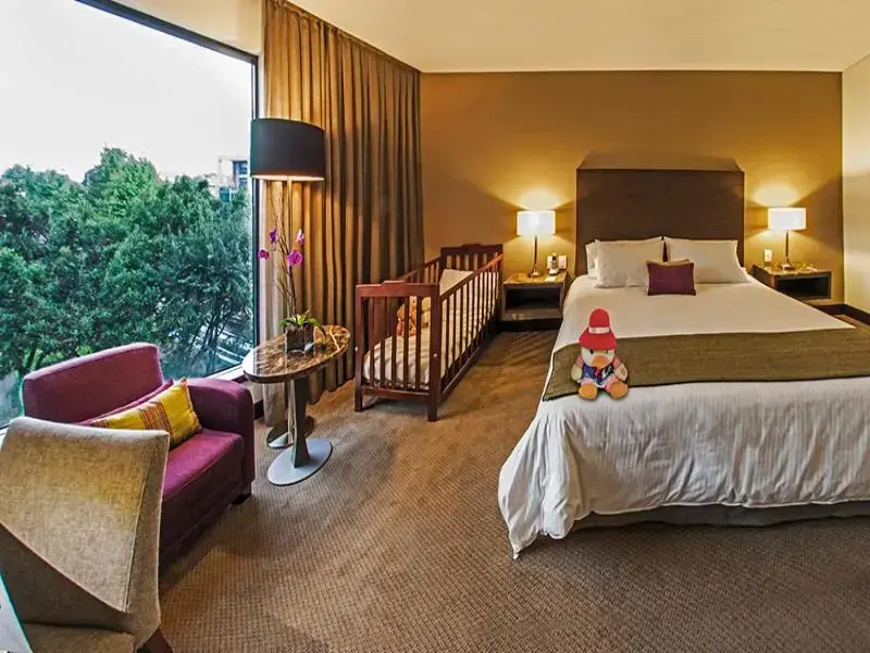 Superior Single room