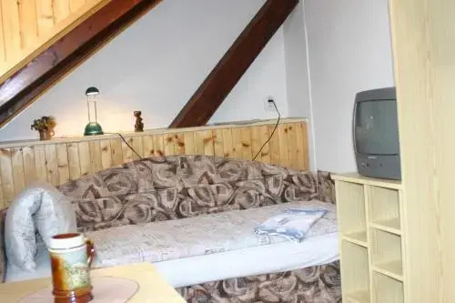Pension U Vlášků - Général