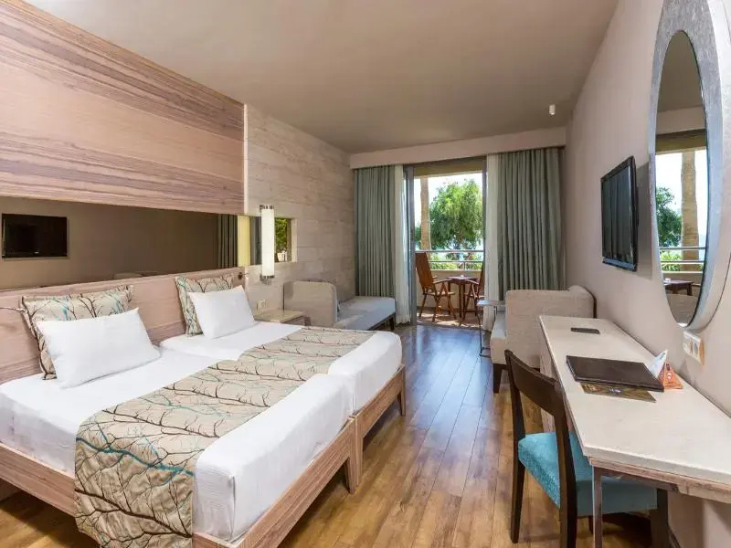 Standard Double room with balcony (full double bed)