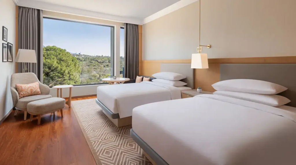 Deluxe Double room (twin beds)