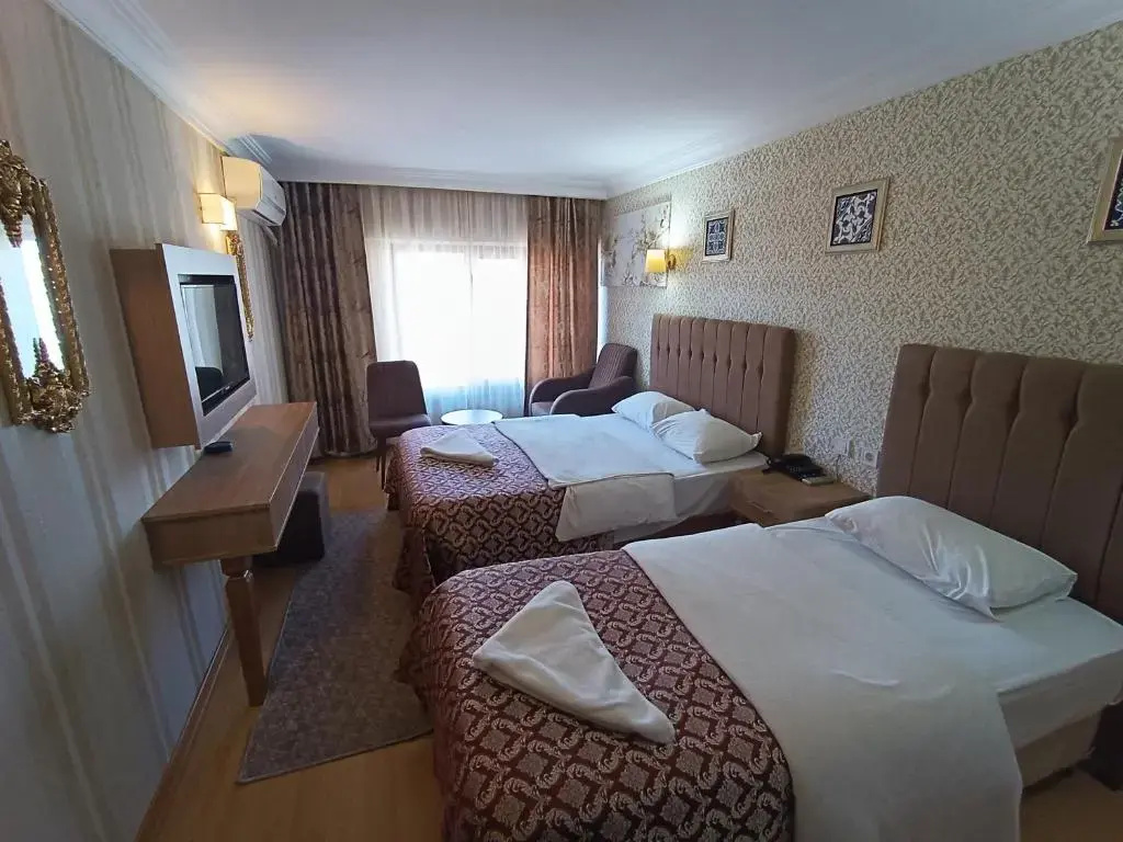 Standard Double room (twin beds)