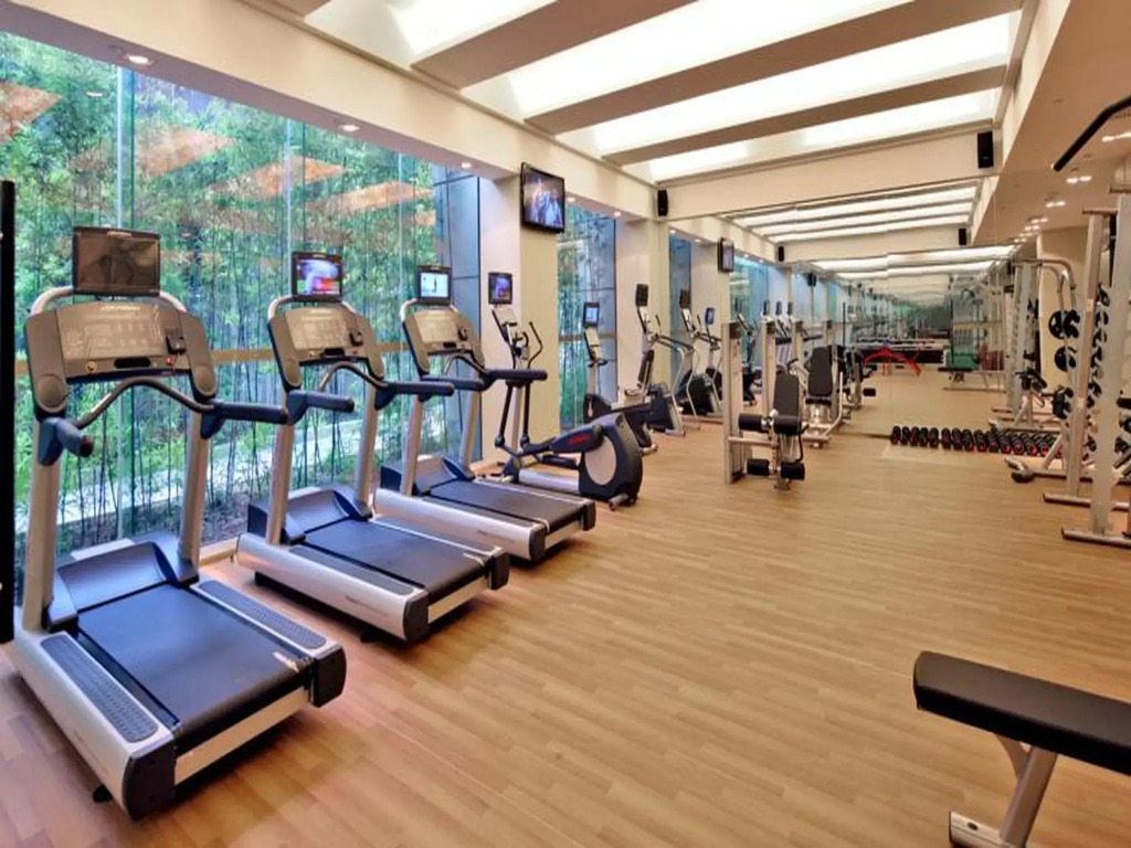 Grand Skylight International Hotel Guanlan - фото 21