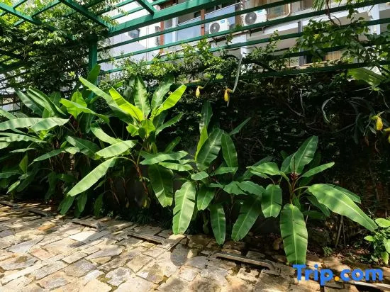 Yunpu Nanqi Rainforest Zhendi (Manting Park)