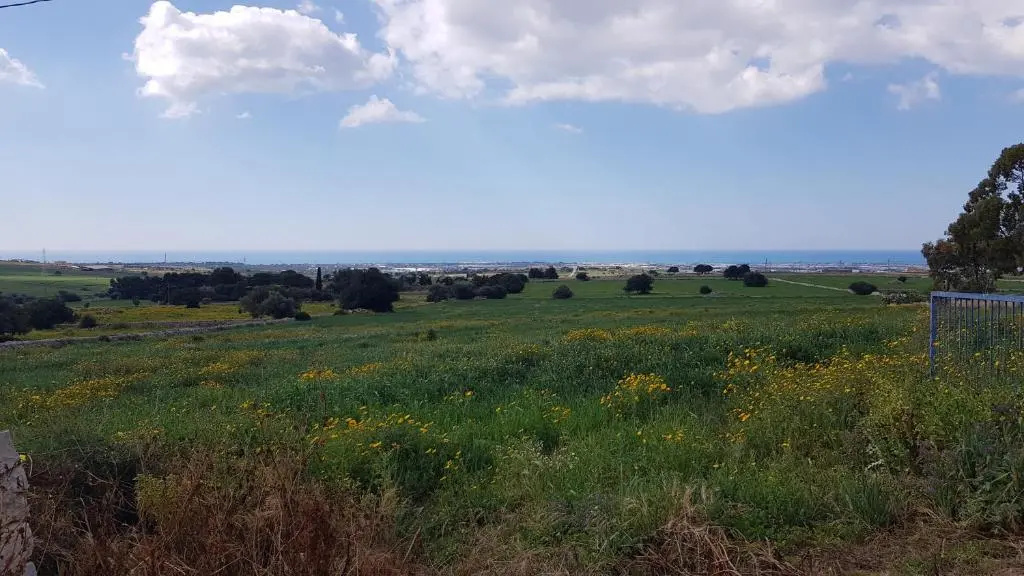 IzzHome Country