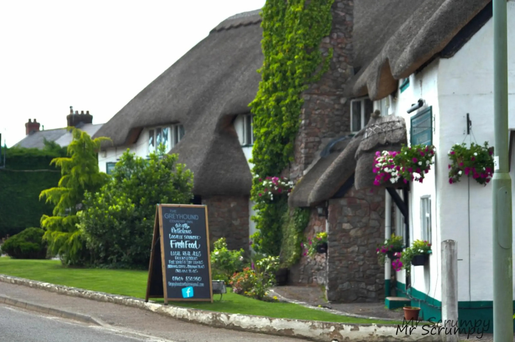 Greyhound Country Inn - Général