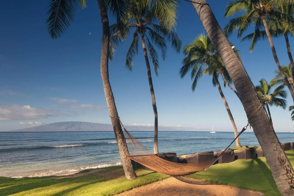 Hyatt Regency Maui Resort & Spa - Général