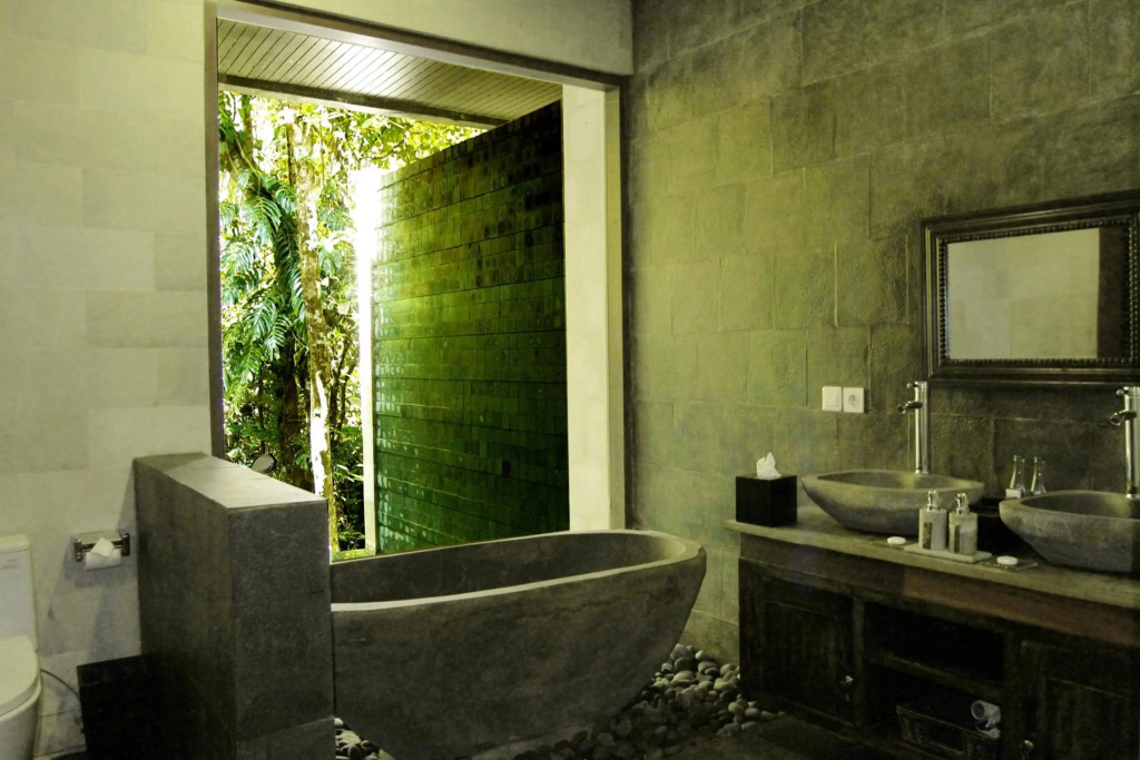 BeingSattvaa Luxury Ubud - Général