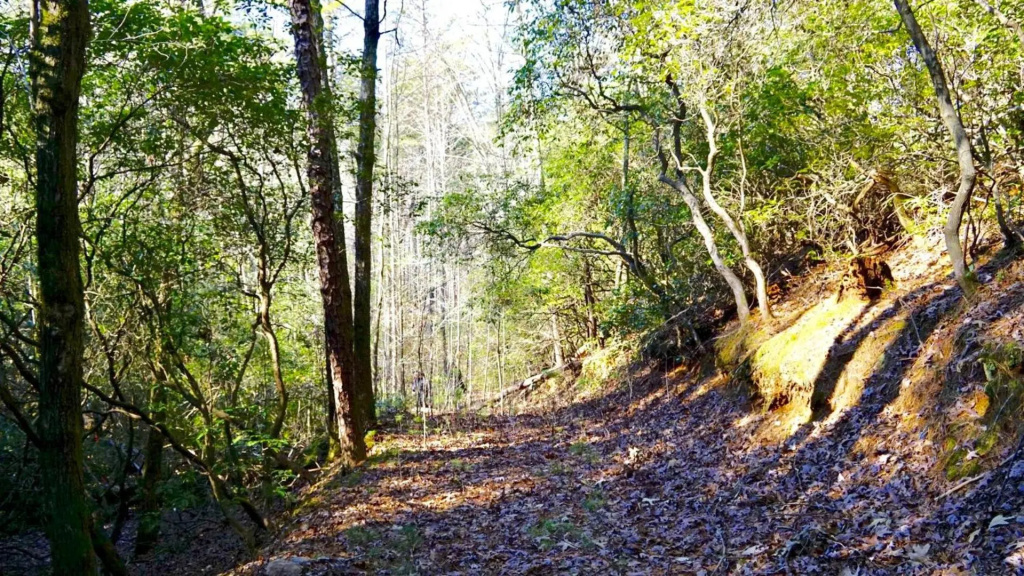 Ridge Retreat at Hearthstone Cabins and Camping - Pet Friendly