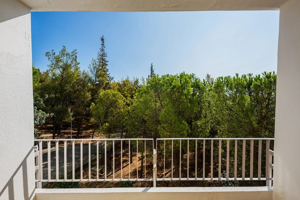 Standard Double room with balcony and with park view (full double bed)