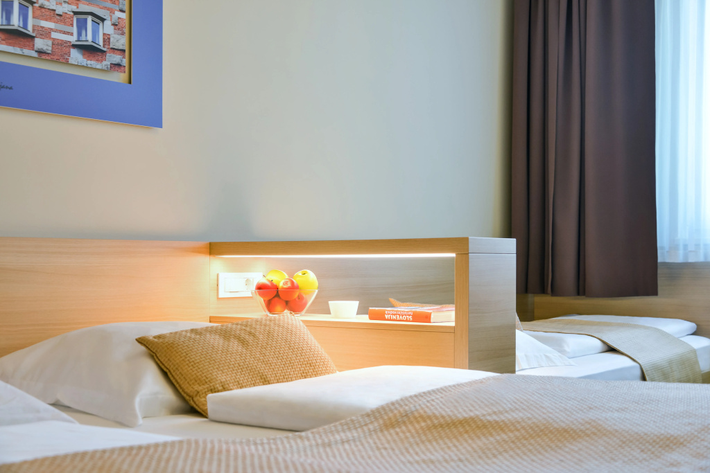 Ahotel Hotel Ljubljana - Général