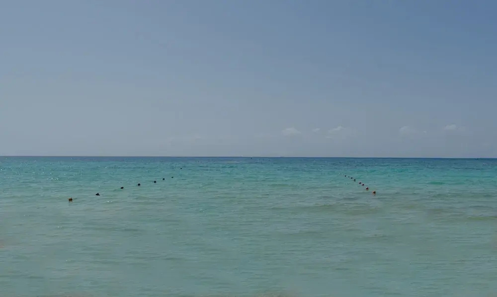 Beach & Waterfront