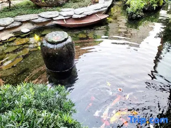 Sakura Mura Homestay Phu Quoc