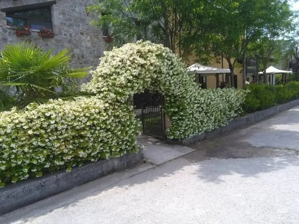 Agriturismo La Locanda del Gallo