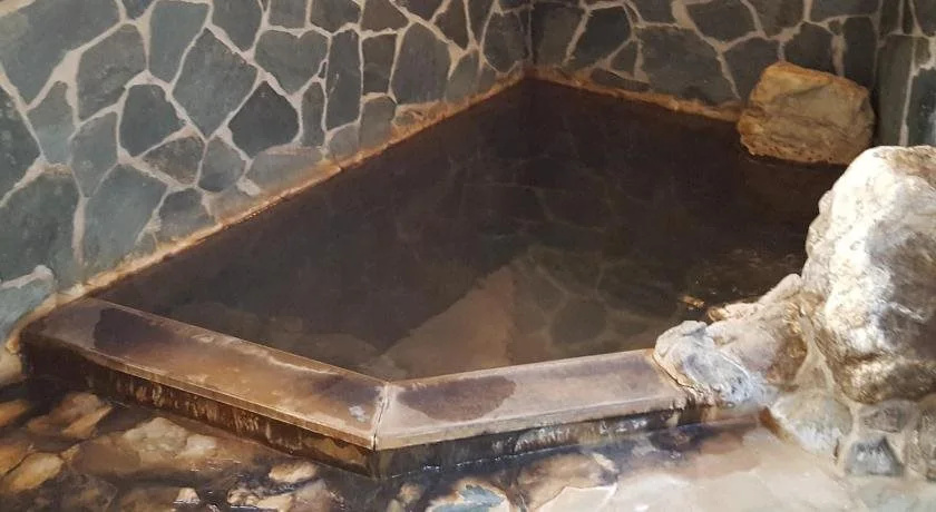 Ryokan Maruya 사진 14
