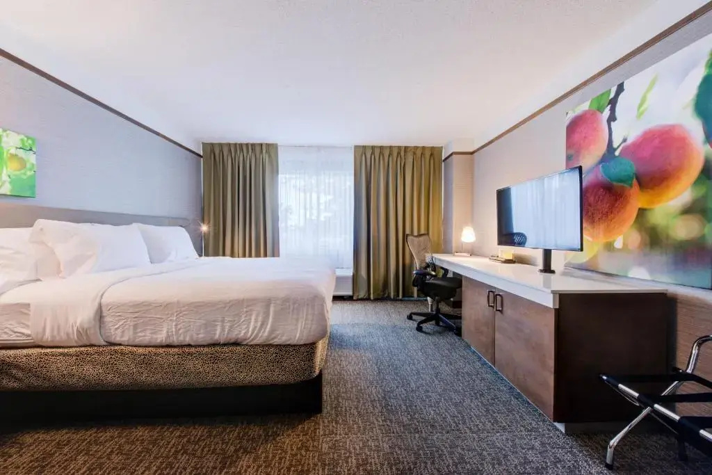 Hilton Garden Inn Detroit - Southfield, MI - Chambres