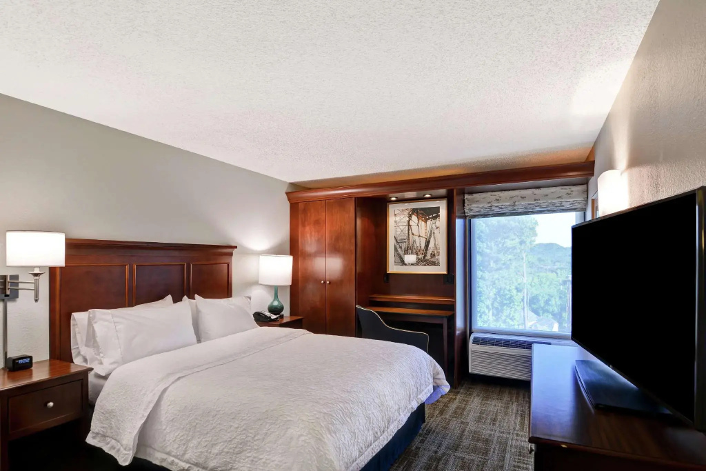Hampton Inn Birmingham/Mountain Brook - Chambres